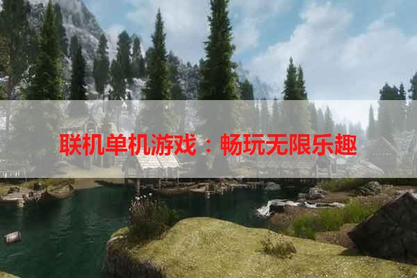 联机单机游戏：畅玩无限乐趣