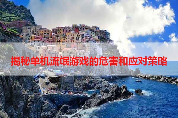 揭秘单机流氓游戏的危害和应对策略