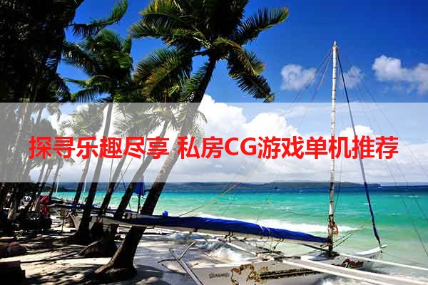 探寻乐趣尽享 私房CG游戏单机推荐