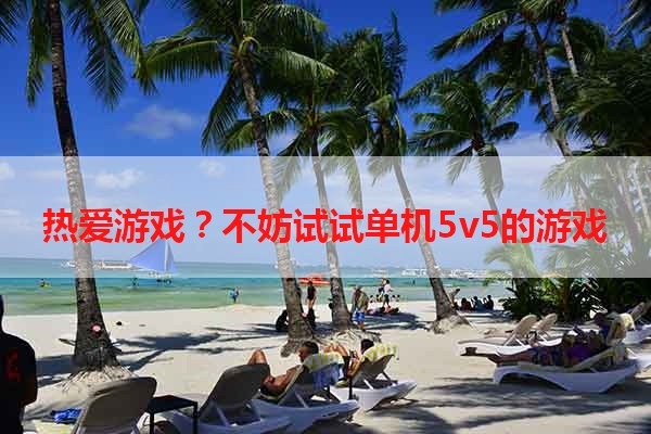 热爱游戏？不妨试试单机5v5的游戏