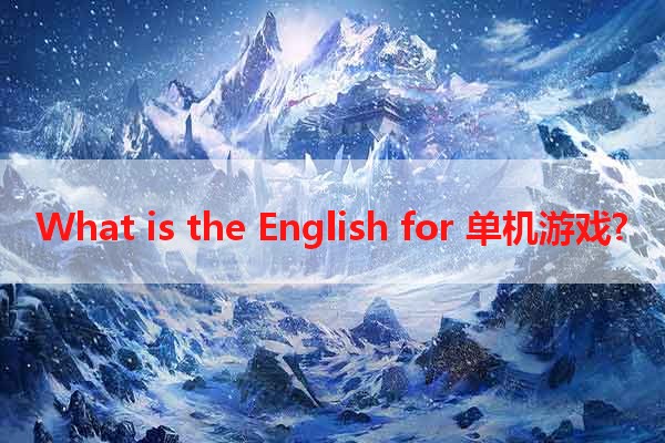 What is the English for 单机游戏?