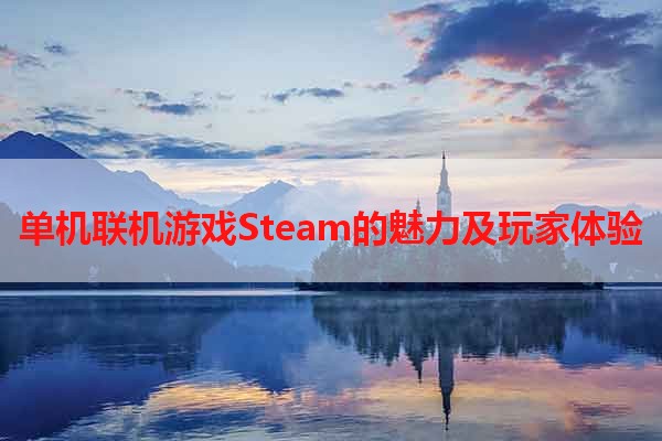 单机联机游戏Steam的魅力及玩家体验