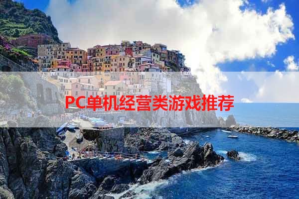 PC单机经营类游戏推荐