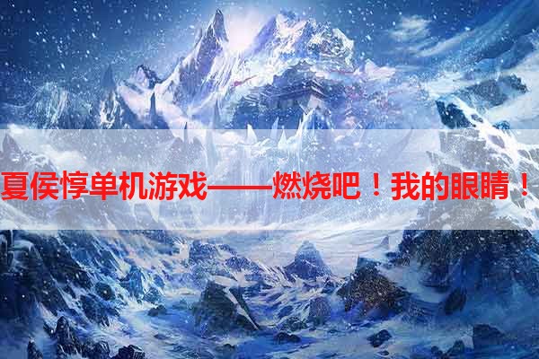 夏侯惇单机游戏——燃烧吧！我的眼睛！