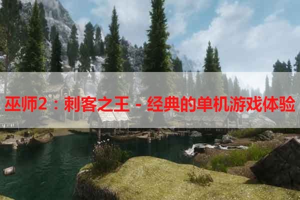 巫师2：刺客之王 - 经典的单机游戏体验