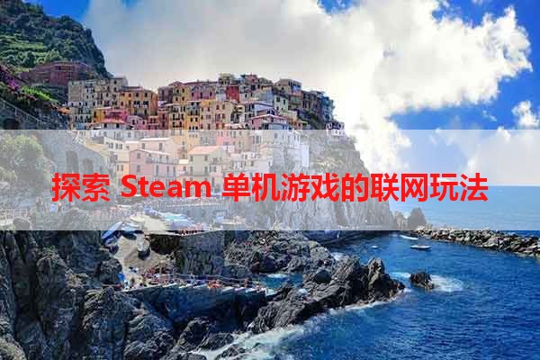 探索 Steam 单机游戏的联网玩法