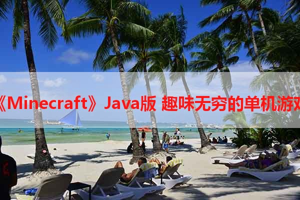 《Minecraft》Java版 趣味无穷的单机游戏