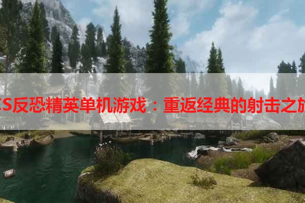 CS反恐精英单机游戏：重返经典的射击之旅