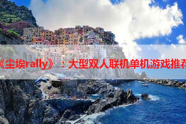 《尘埃rally》：大型双人联机单机游戏推荐