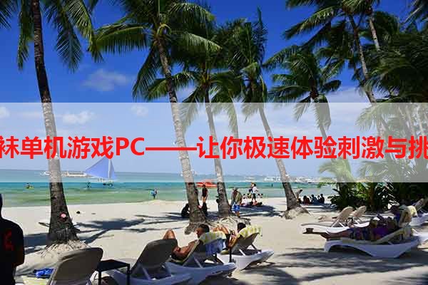 丝袜单机游戏PC——让你极速体验刺激与挑战