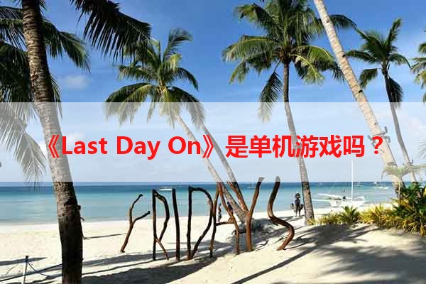 《Last Day On》是单机游戏吗？