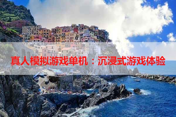 真人模拟游戏单机：沉浸式游戏体验