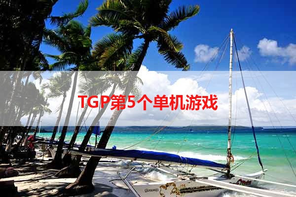 TGP第5个单机游戏