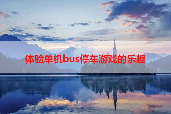 体验单机bus停车游戏的乐趣