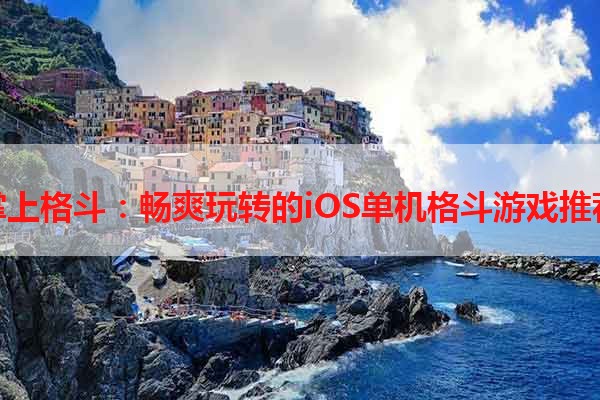 掌上格斗：畅爽玩转的iOS单机格斗游戏推荐