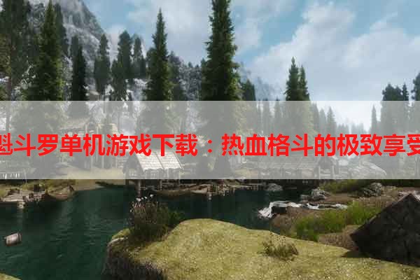 魁斗罗单机游戏下载：热血格斗的极致享受