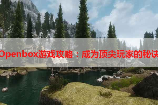 Openbox游戏攻略：成为顶尖玩家的秘诀