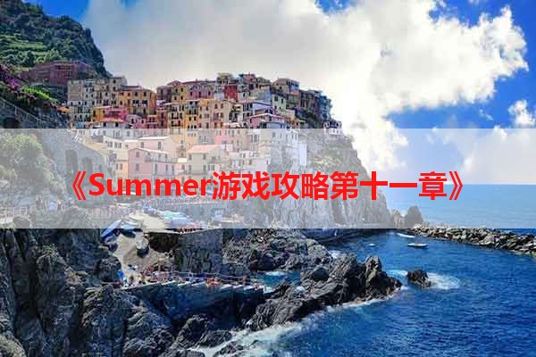 《Summer游戏攻略第十一章》