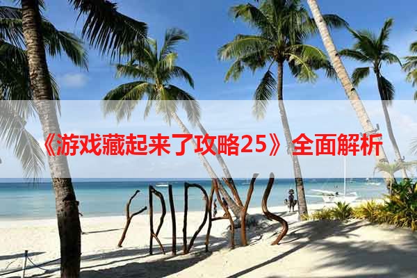 《游戏藏起来了攻略25》全面解析