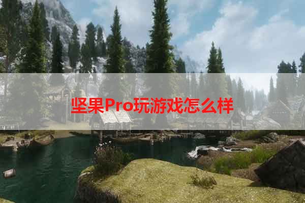 坚果Pro玩游戏怎么样