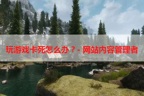 玩游戏卡死怎么办？- 网站内容管理者