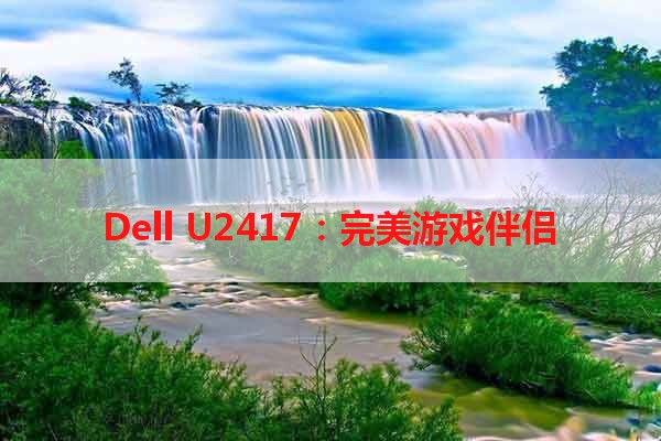 Dell U2417：完美游戏伴侣