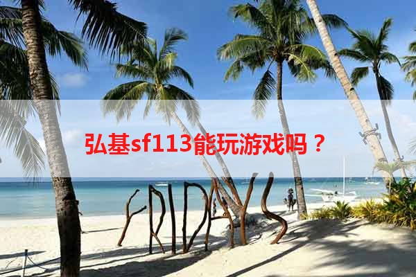 弘基sf113能玩游戏吗？