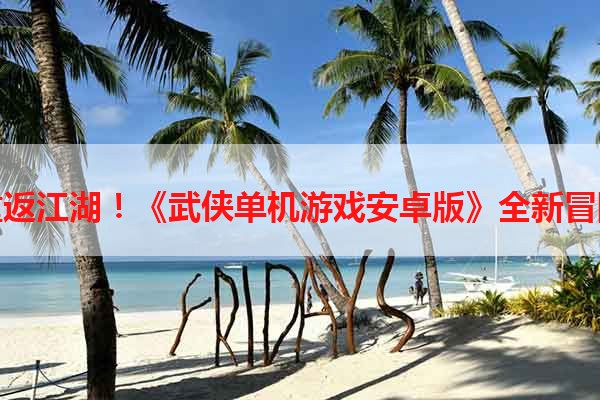 带你重返江湖！《武侠单机游戏安卓版》全新冒险之旅