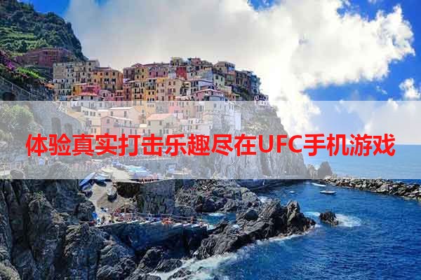 体验真实打击乐趣尽在UFC手机游戏