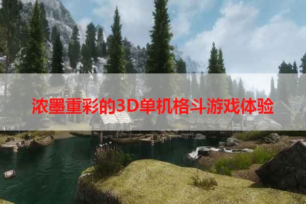 浓墨重彩的3D单机格斗游戏体验