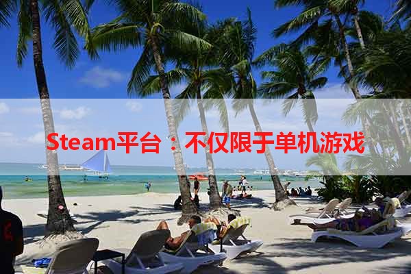 Steam平台：不仅限于单机游戏