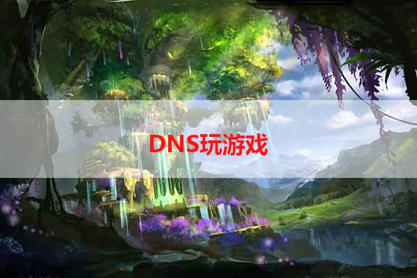 DNS玩游戏